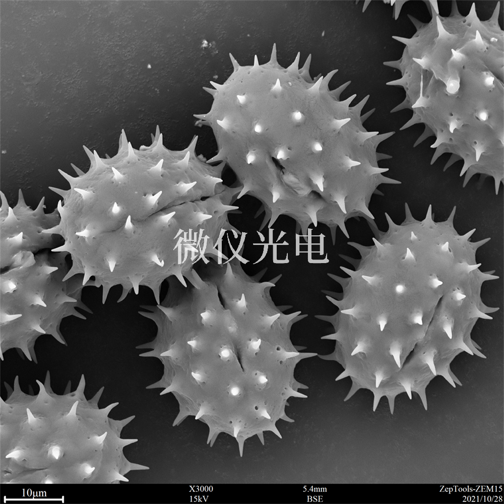 掃描電鏡測樣，要注意什么？