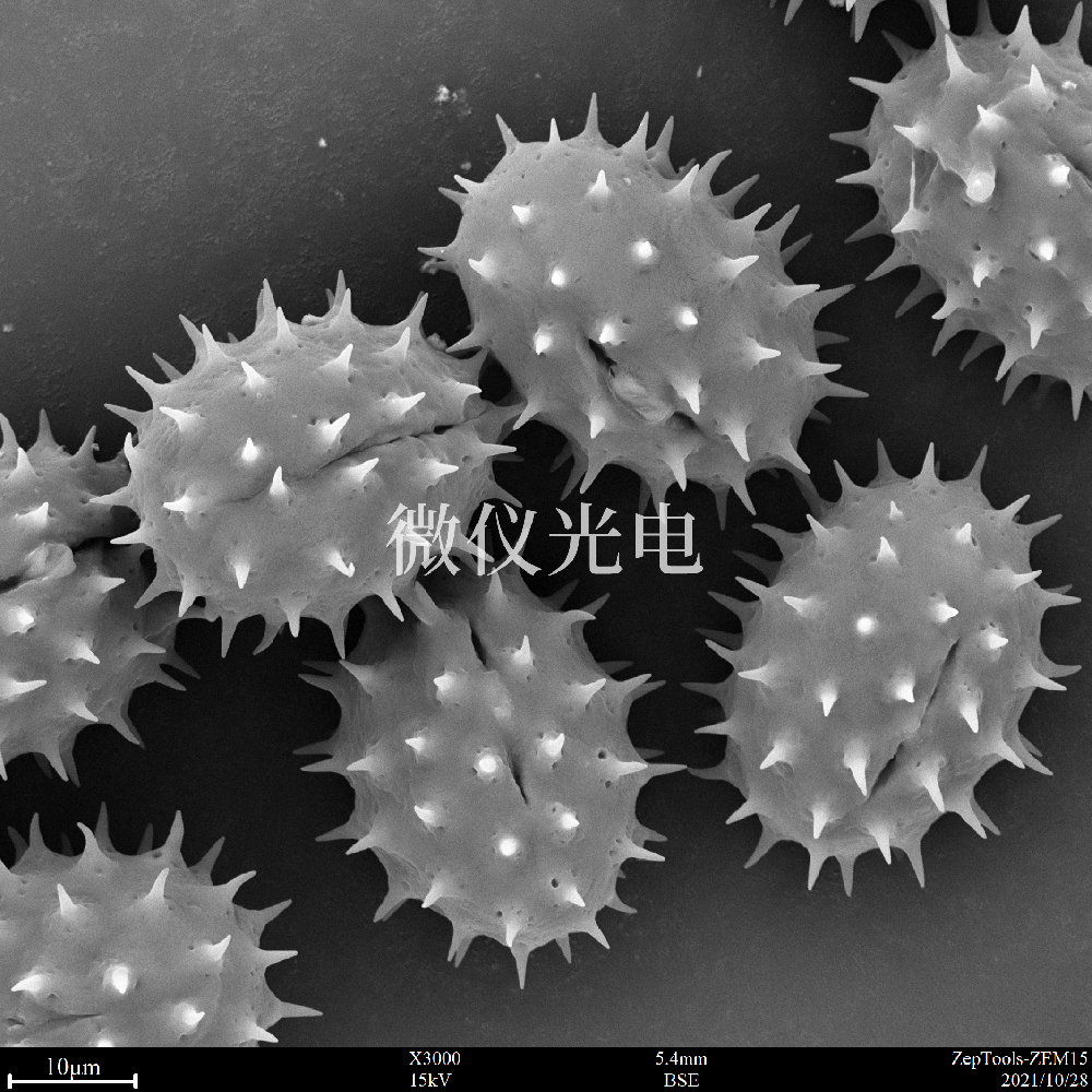 sem掃描電鏡的原理、組成、基本參數和應用的介紹